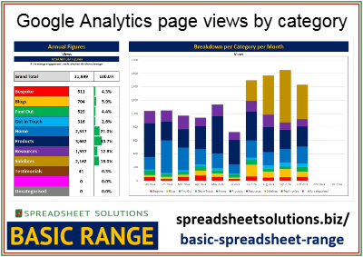 Website Traffic by Section – £35